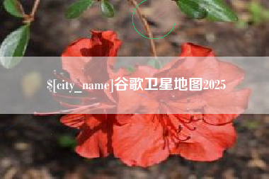涿州谷歌卫星地图2025
