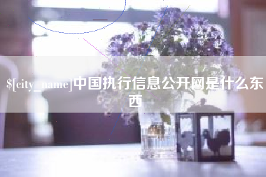 涿州中国执行信息公开网是什么东西