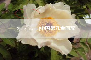 涿州中国第九金回放