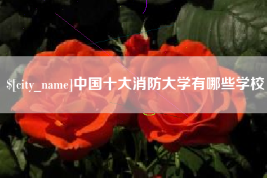 涿州中国十大消防大学有哪些学校