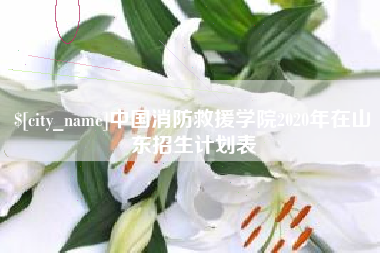 涿州中国消防救援学院2020年在山东招生计划表