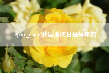 涿州我国消防日是每年的