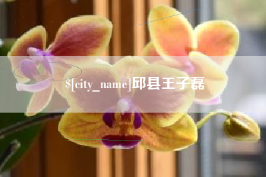 涿州邱县王子磊