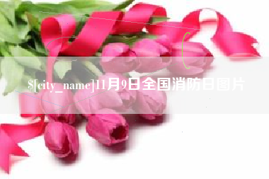 涿州11月9日全国消防日图片