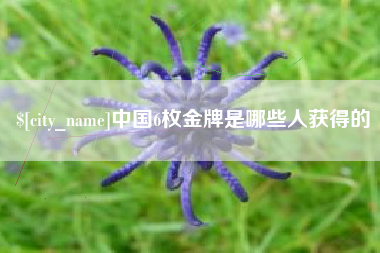 涿州中国6枚金牌是哪些人获得的