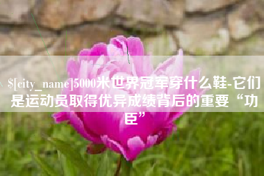 涿州5000米世界冠军穿什么鞋-它们是运动员取得优异成绩背后的重要“功臣”