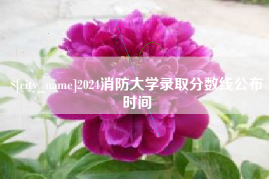 涿州2024消防大学录取分数线公布时间