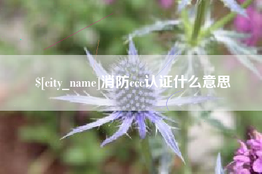 涿州消防ccc认证什么意思