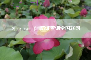 涿州消防证查询全国联网