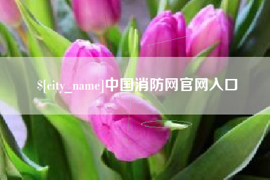 涿州中国消防网官网入口