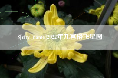 涿州2022年九宫格飞星图