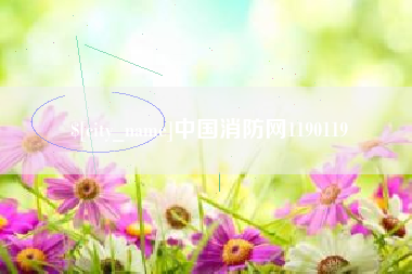涿州中国消防网1190119