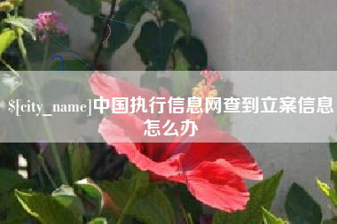 涿州中国执行信息网查到立案信息怎么办