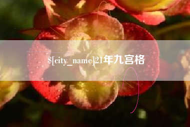 涿州21年九宫格