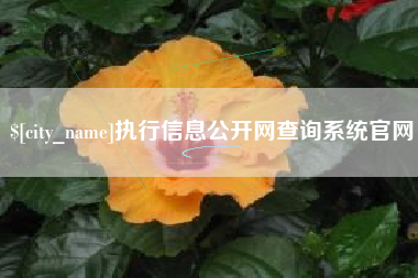 涿州执行信息公开网查询系统官网