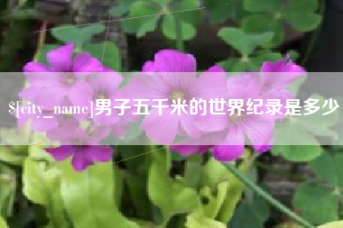 涿州男子五千米的世界纪录是多少
