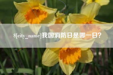 涿州我国消防日是哪一日？