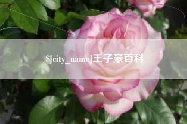 涿州王子豪百科