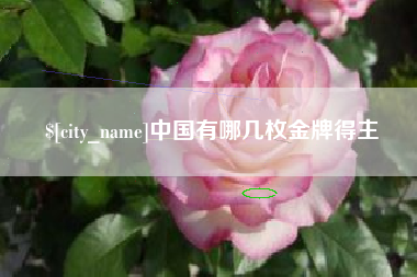 涿州中国有哪几枚金牌得主