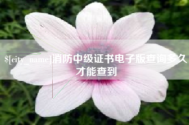 涿州消防中级证书电子版查询多久才能查到