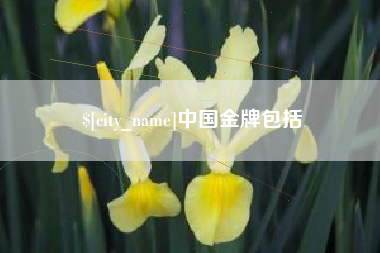 涿州中国金牌包括