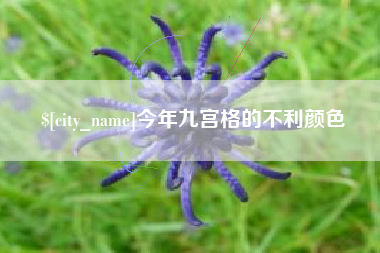 涿州今年九宫格的不利颜色