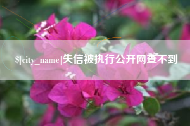 涿州失信被执行公开网查不到