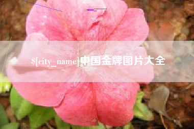 涿州中国金牌图片大全