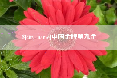 涿州中国金牌第九金