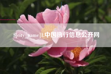 涿州1.中国执行信息公开网