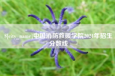 涿州中国消防救援学院2024年招生分数线