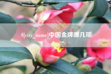 涿州中国金牌哪几项