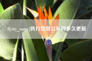 涿州执行信息公开网多久更新