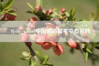 涿州中国消防报考中心官网