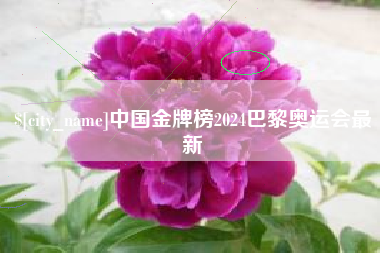 涿州中国金牌榜2024巴黎奥运会最新