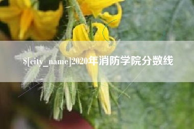 涿州2020年消防学院分数线