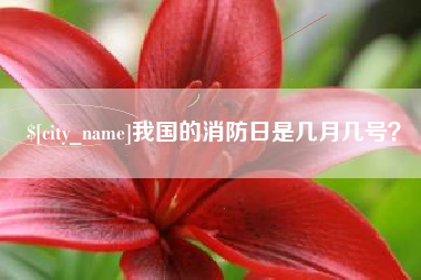 涿州我国的消防日是几月几号？
