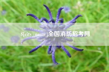 涿州全国消防招考网