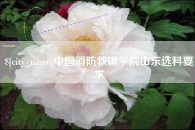 涿州中国消防救援学院山东选科要求