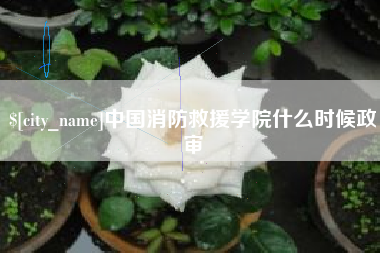 涿州中国消防救援学院什么时候政审