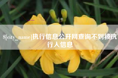 涿州执行信息公开网查询不到被执行人信息