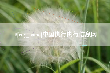 涿州中国执行执行信息网