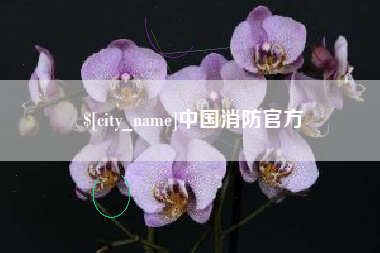 涿州中国消防官方