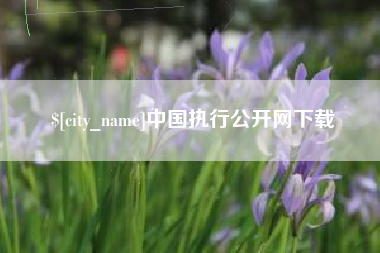 涿州中国执行公开网下载