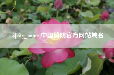 涿州中国消防官方网站域名