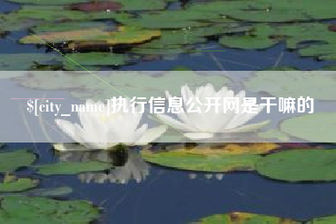 涿州执行信息公开网是干嘛的