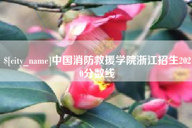 涿州中国消防救援学院浙江招生2020分数线