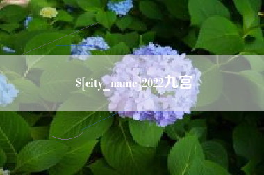 涿州2022九宫