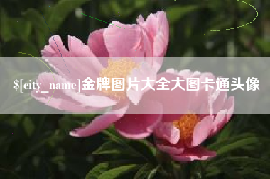 涿州金牌图片大全大图卡通头像