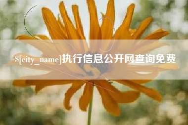 涿州执行信息公开网查询免费